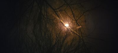 20240408_144622.jpg
