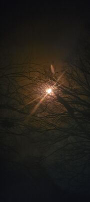 20240408_144657.jpg