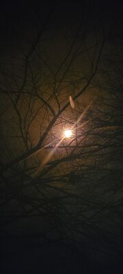 20240408_144728.jpg