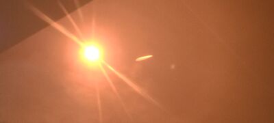 20240408_145144.jpg