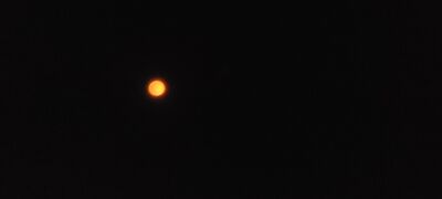 20240408_145247.jpg