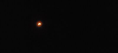 20240408_145305.jpg