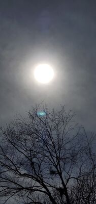 20240408_145436.jpg