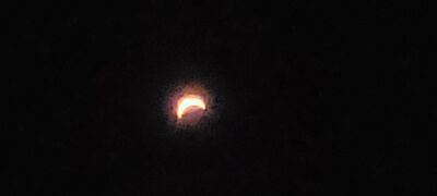20240408_145913.jpg