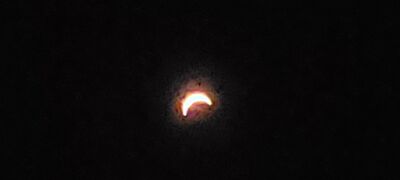 20240408_150203.jpg