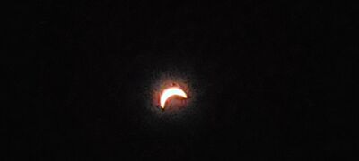 20240408_150228.jpg
