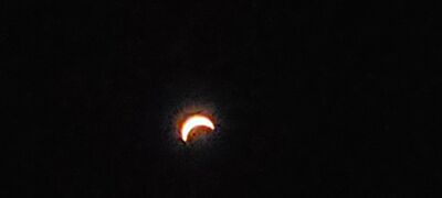 20240408_150318.jpg