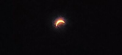 20240408_150459.jpg