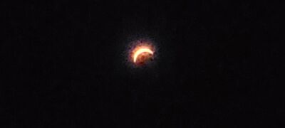 20240408_150514.jpg