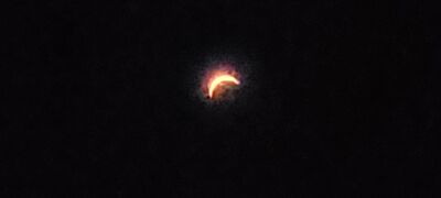 20240408_150519.jpg