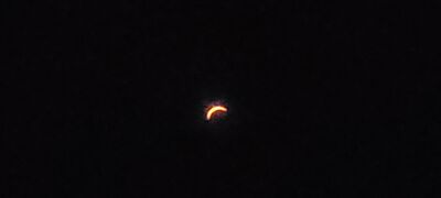 20240408_150954.jpg