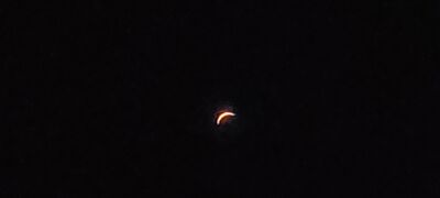 20240408_151102.jpg