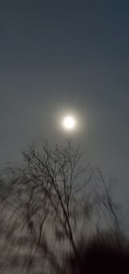 20240408_151525.jpg