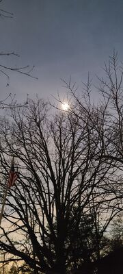 20240408_151600.jpg