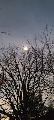 20240408_151605.jpg