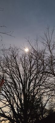 20240408_151608.jpg