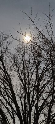 20240408_151615.jpg