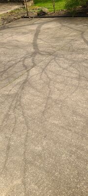 20240408_152112.jpg