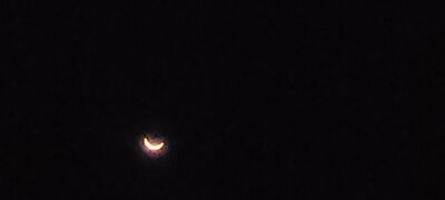 20240408_152347.jpg