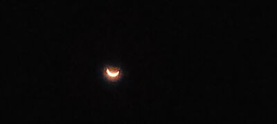20240408_152548.jpg