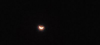 20240408_152625.jpg