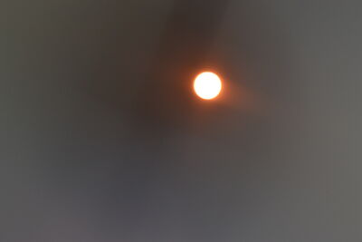 DSC_0231.JPG