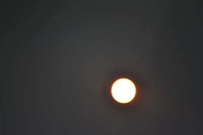 DSC_0232.JPG