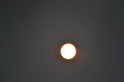 DSC_0233.JPG