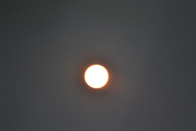 DSC_0234.JPG