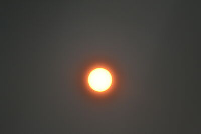 DSC_0236.JPG