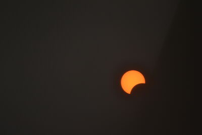 DSC_0244.JPG
