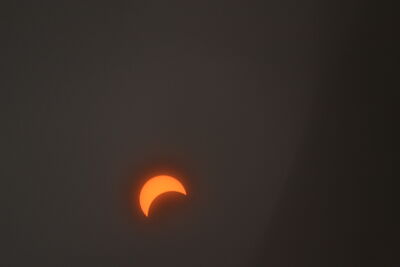 DSC_0246.JPG