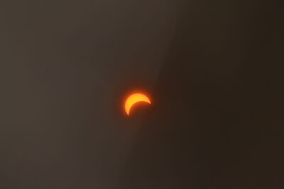 DSC_0247.JPG