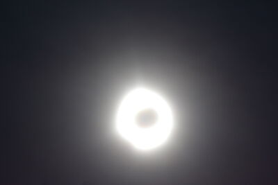 DSC_0260.JPG