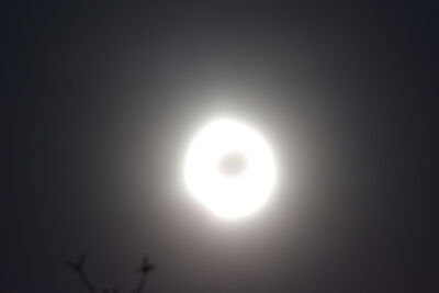 DSC_0261.JPG