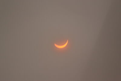 DSC_0270.JPG