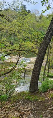 20240428_101733.jpg