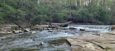 20240428_102411.jpg
