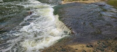 20240428_102506.jpg