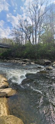 20240428_102515.jpg