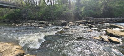 20240428_102522.jpg