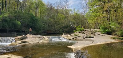 20240428_103231.jpg