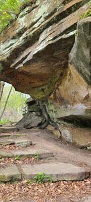 20240428_103512.jpg