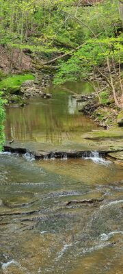 20240428_103753.jpg