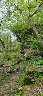 20240428_105326.jpg