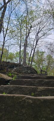 20240428_112058.jpg