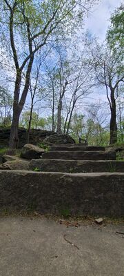 20240428_112108.jpg