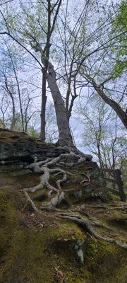 20240428_112209.jpg
