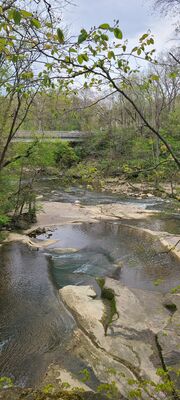 20240428_112348.jpg