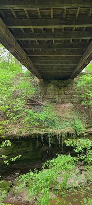 20240428_113103.jpg